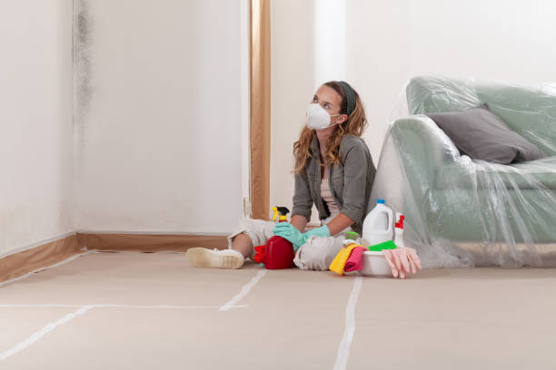 Reliable Mold Inspection contractor in West Sayville, NY by WQB Mold Removal